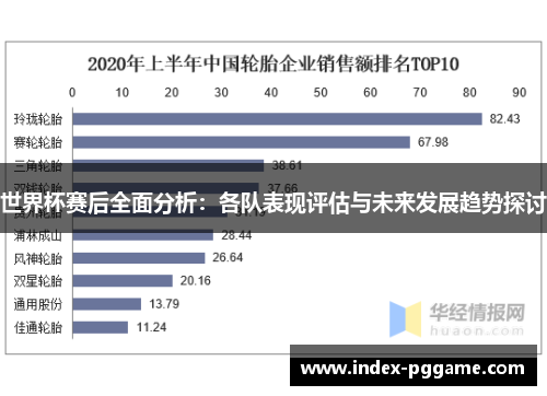 世界杯赛后全面分析：各队表现评估与未来发展趋势探讨