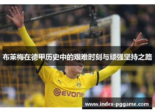 布莱梅在德甲历史中的艰难时刻与顽强坚持之路