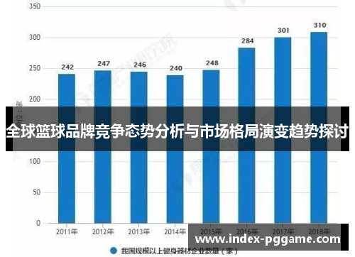 全球篮球品牌竞争态势分析与市场格局演变趋势探讨