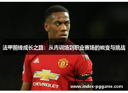 法甲前锋成长之路：从青训场到职业赛场的蜕变与挑战