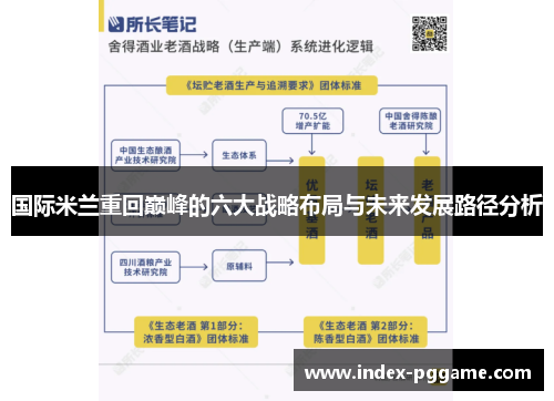 国际米兰重回巅峰的六大战略布局与未来发展路径分析