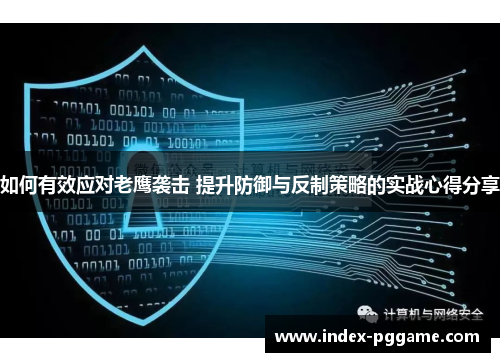 如何有效应对老鹰袭击 提升防御与反制策略的实战心得分享