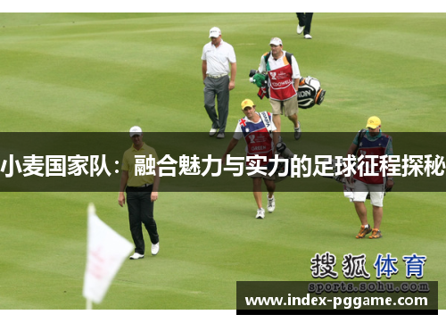 小麦国家队：融合魅力与实力的足球征程探秘