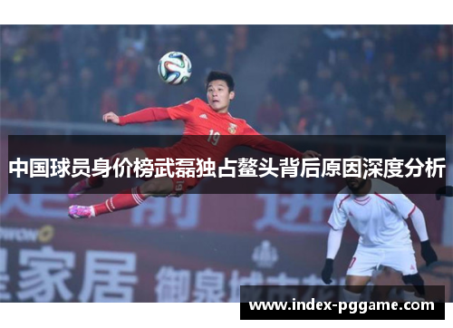 中国球员身价榜武磊独占鳌头背后原因深度分析
