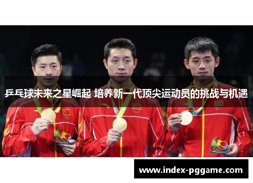 乒乓球未来之星崛起 培养新一代顶尖运动员的挑战与机遇