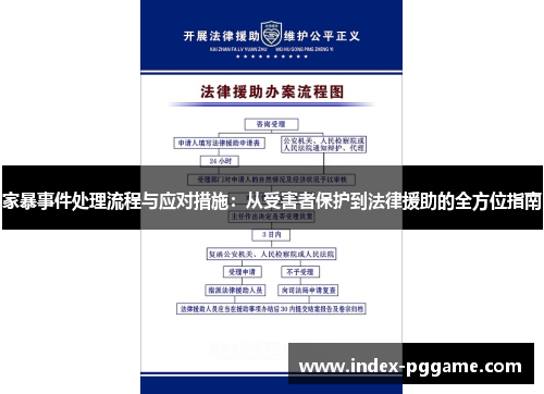 家暴事件处理流程与应对措施：从受害者保护到法律援助的全方位指南