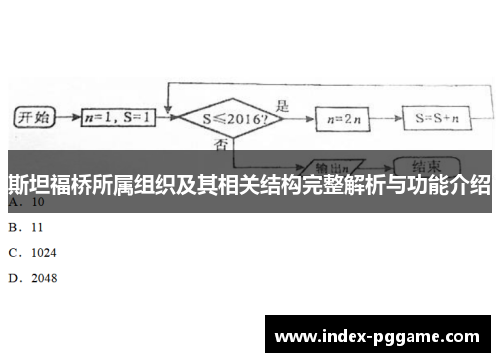 斯坦福桥所属组织及其相关结构完整解析与功能介绍