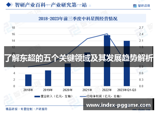 了解东超的五个关键领域及其发展趋势解析