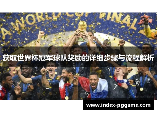 获取世界杯冠军球队奖励的详细步骤与流程解析