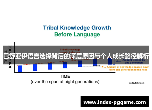 巴舒亚伊语言选择背后的深层原因与个人成长路径解析