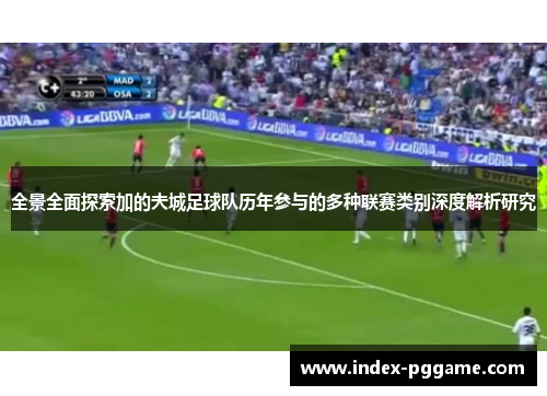 全景全面探索加的夫城足球队历年参与的多种联赛类别深度解析研究