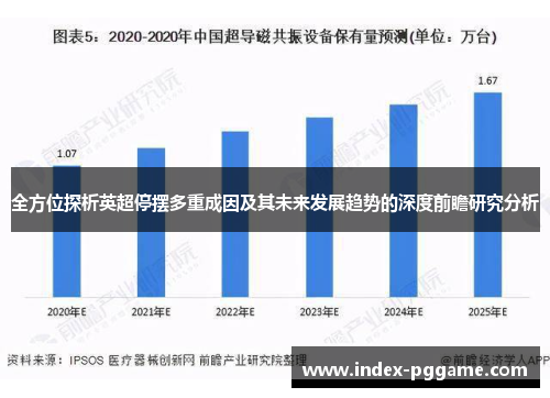 全方位探析英超停摆多重成因及其未来发展趋势的深度前瞻研究分析