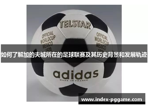 如何了解加的夫城所在的足球联赛及其历史背景和发展轨迹