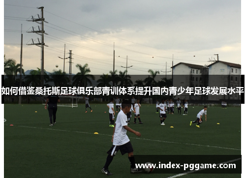 如何借鉴桑托斯足球俱乐部青训体系提升国内青少年足球发展水平