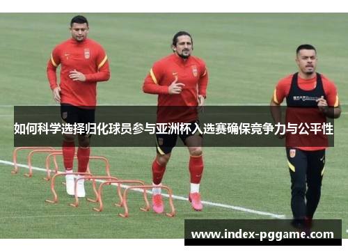 如何科学选择归化球员参与亚洲杯入选赛确保竞争力与公平性