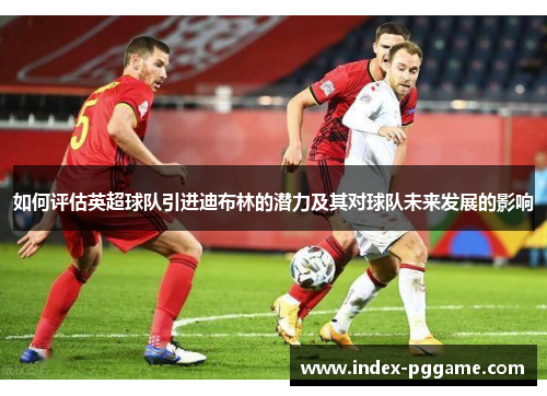 如何评估英超球队引进迪布林的潜力及其对球队未来发展的影响